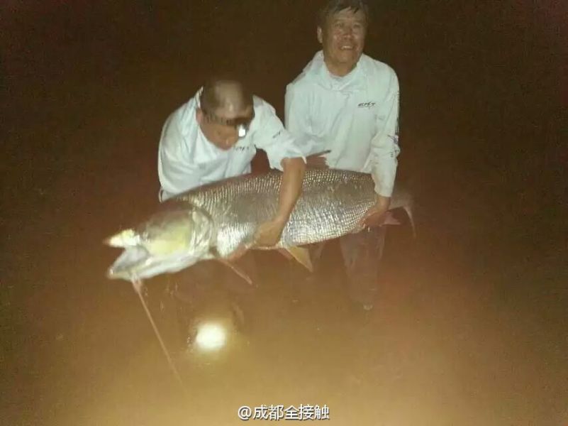 圖為大魚需要兩個(gè)人抱起。