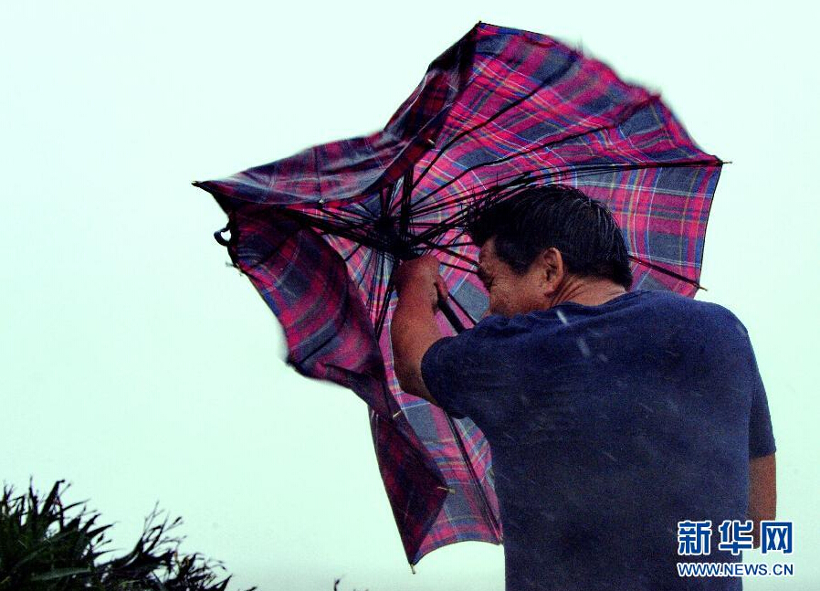 8月8日，福建省石獅市漁民在風(fēng)雨中前行。