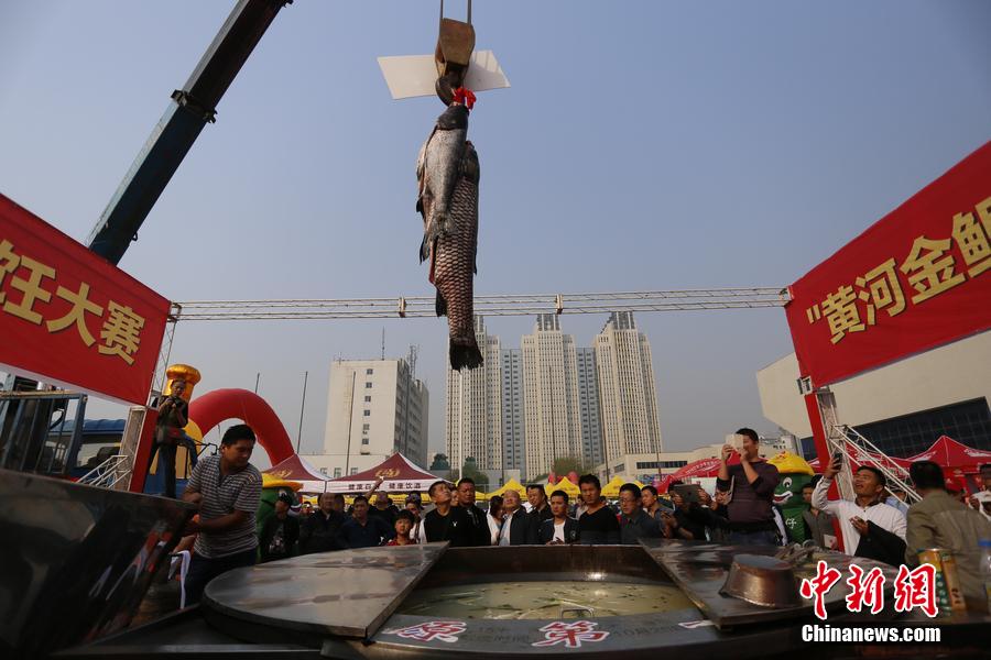 起重機(jī)吊起161.2斤魚王下鍋。 圖片來源：CFP視覺中國