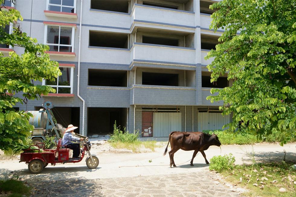 2016年7月26日，村民在廣西來(lái)賓市忻城縣隆達(dá)山水福城荒廢別墅間放牛。
