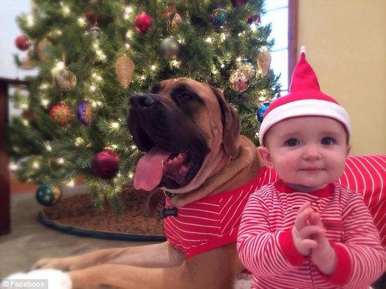 圖為美國(guó)2歲大的寵物犬與主人9個(gè)月大的女?huà)?。圖片來(lái)源：臉譜網(wǎng)站（Facebook）。