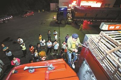 浙江動(dòng)保人士高速攔車(chē)救貓 假稱(chēng)出車(chē)禍叫來(lái)民警