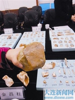 大連發(fā)現古人類活動遺址 或與周口店猿人同時代