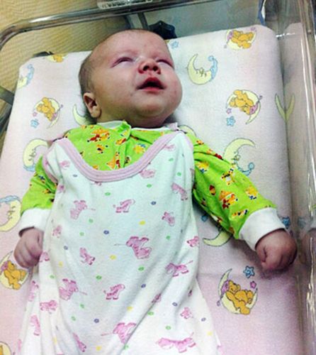 居民認(rèn)為，如果沒(méi)有這只貓的照料，寶寶可能沒(méi)有機(jī)會(huì)活下來(lái)。