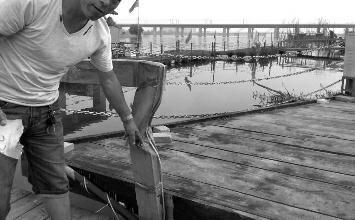 鼻孔里凝著血痂、全身多處擦傷的周先生仍有些驚魂未定。