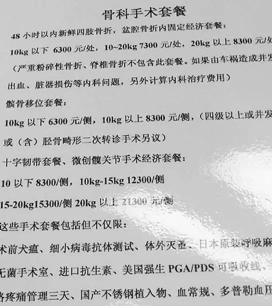 女子為給愛(ài)犬治病 從新疆開(kāi)了4天車還花費(fèi)5萬(wàn)5