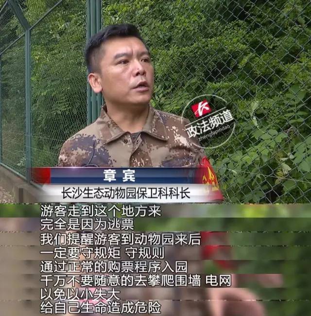 2女1男為逃票翻墻進(jìn)動(dòng)物園 落地時(shí)周?chē)玖?只虎