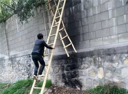 2女1男為逃票翻墻進(jìn)動(dòng)物園 落地時(shí)周?chē)玖?只虎