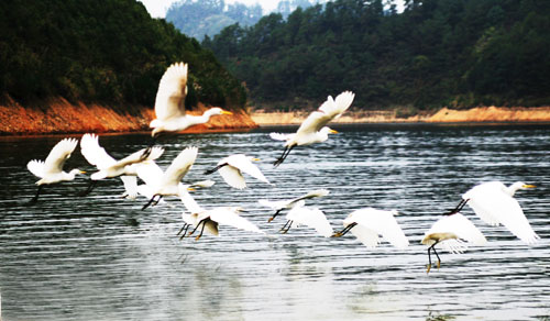 考完去哪兒？千島湖中、高考生門票大優(yōu)惠！
