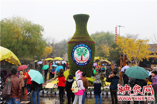 天好、花美 中國開封第32屆菊花文化節(jié)延長一周