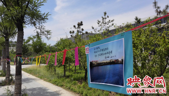 “三字情書”飄滿工大校園