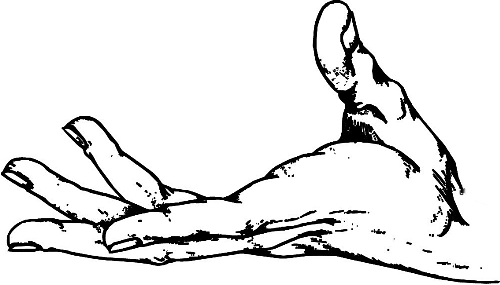 　時(shí)間：拿到通知書(shū)，未報(bào)到就可申請(qǐng)