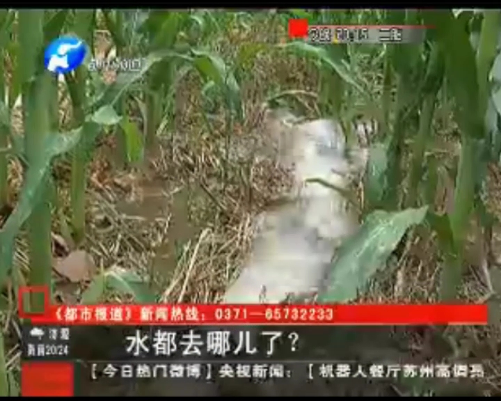 水都去哪了？