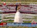 世界最長婚紗 長達(dá)4.1公里