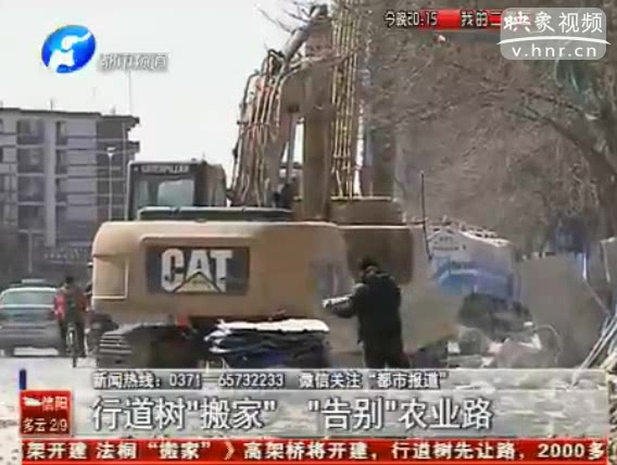 行道樹“搬家” 告別農業(yè)路