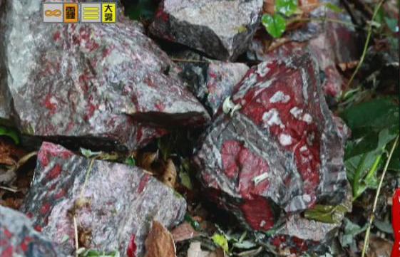 驚！神農(nóng)架無(wú)人區(qū)現(xiàn)神秘玉石