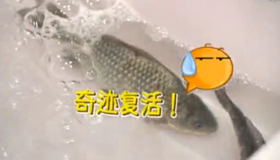 冷凍魚(yú)復(fù)活 保鮮新科技