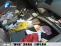 “砸車(chē)賊”深夜施盜 20輛遭殃