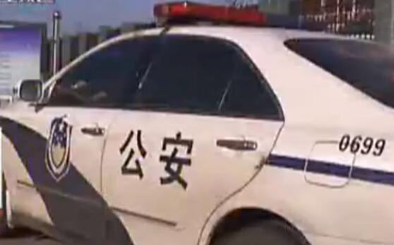 車內(nèi)暗藏紙箱 民警開箱后震驚了