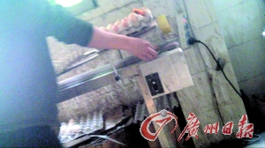 工作人員正在為“土雞蛋”噴日期碼。