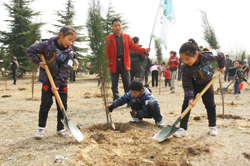 映象網(wǎng)愛心林公益植樹活動