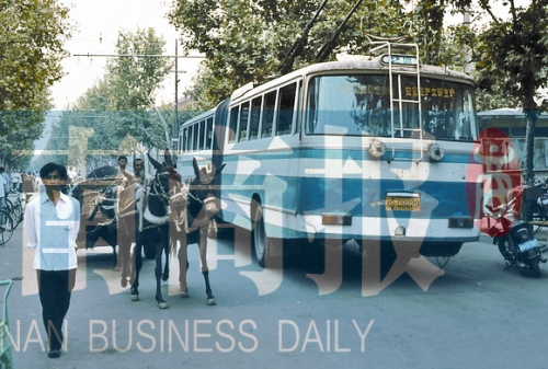 當(dāng)年的伏牛路，驢車(chē)和公交車(chē)并行