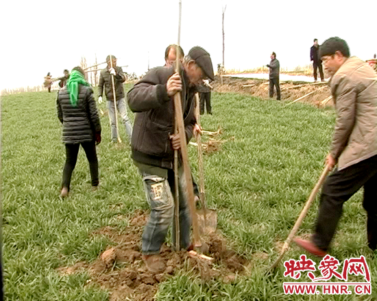 彭橋鄉(xiāng)鄉(xiāng)長鄧彥雷義務植樹